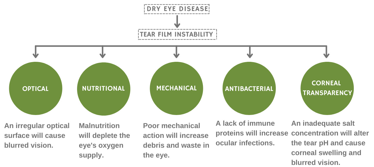 Infographic about dry-eye causes.