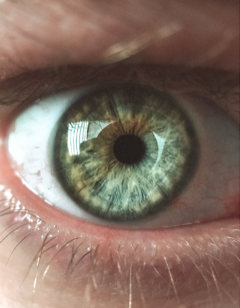 Close-up image of an eye.